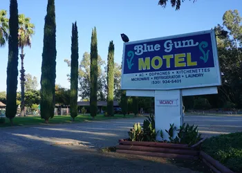 Blue Gum Motel hotel thumbnail 2
