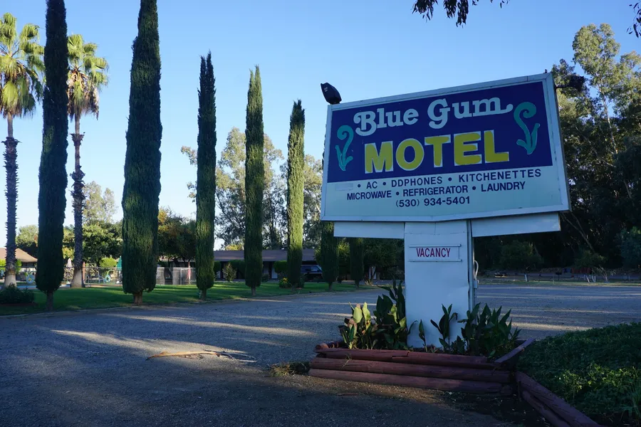 Blue Gum Motel hotel detail image 2