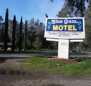 Blue Gum Motel hotel detail image 3