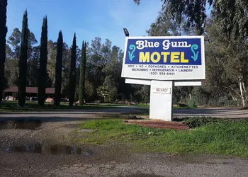 Blue Gum Motel hotel thumbnail 3