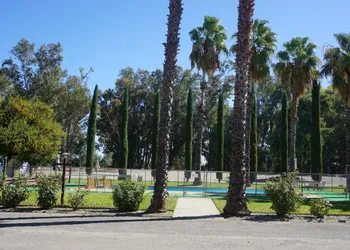 Blue Gum Motel hotel thumbnail 5