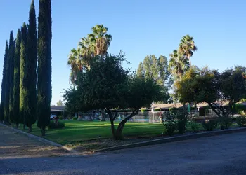 Blue Gum Motel hotel thumbnail 6