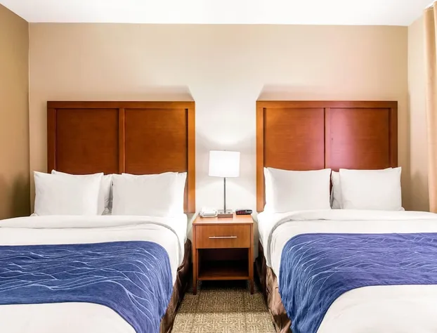 Comfort Inn & Suites IAH Bush Airport - East hotel detail image 3