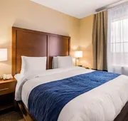 Comfort Inn & Suites IAH Bush Airport - East hotel detail image 5
