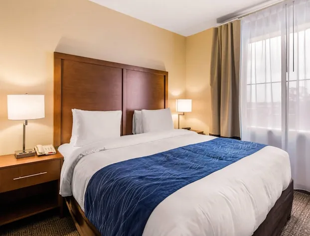 Comfort Inn & Suites IAH Bush Airport - East hotel detail image 4