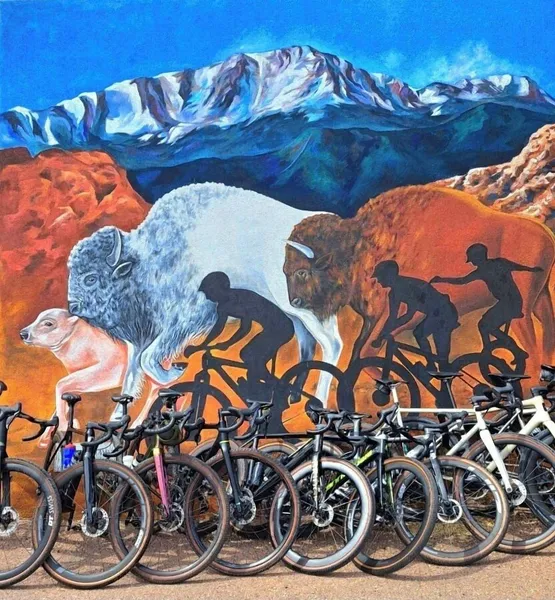 Buffalo Lodge Bicycle Resort hotel detail image 6