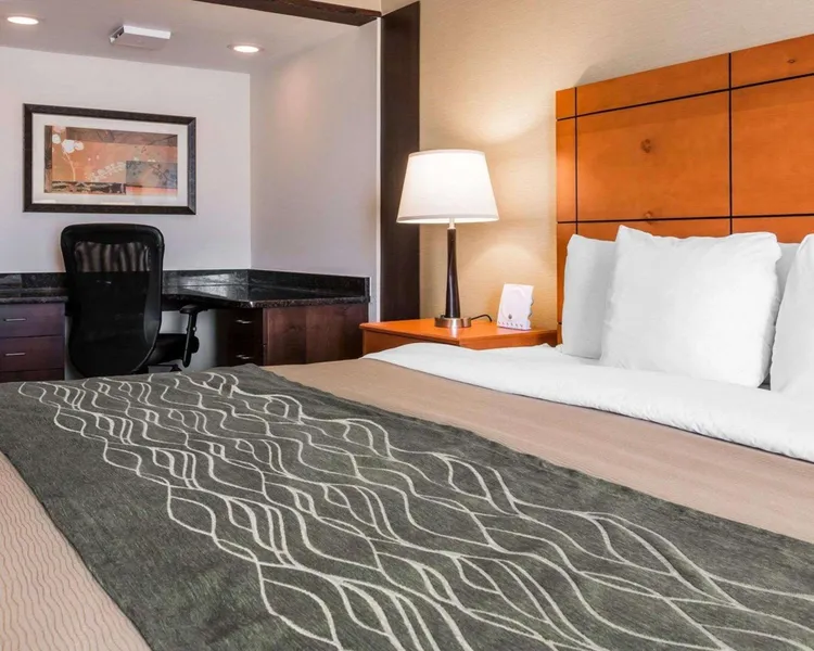 Comfort Inn Metro Airport hotel detail image 6