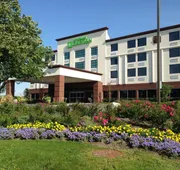 Wyndham Garden Elk Grove Village/O'Hare hotel detail image 4