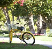 La Quinta Resort & Club, Curio Collection by Hilton hotel detail image 5