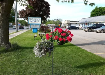 The Maplewood Motel hotel thumbnail 7