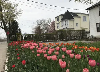 Bedham Hall Bed & Breakfast hotel thumbnail 3