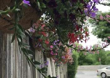 Bedham Hall Bed & Breakfast hotel thumbnail 5