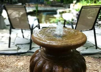 Forest Hill Bed & Breakfast hotel thumbnail 8