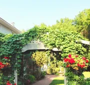 McDougall Lane Bed & Breakfast hotel detail image 3