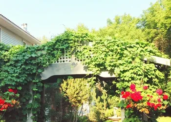 McDougall Lane Bed & Breakfast hotel thumbnail 3
