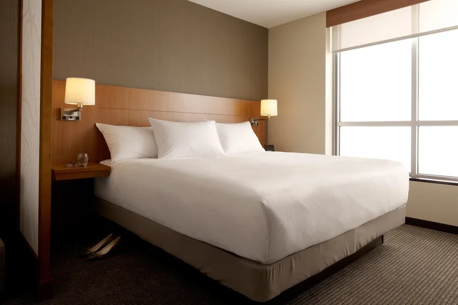 Hyatt Place Atlanta Downtown hotel detail image 6