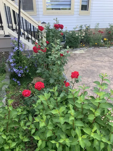 Green Oaks Bed and Breakfast hotel detail image 6