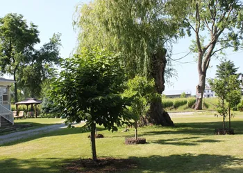 Green Oaks Bed and Breakfast hotel thumbnail 8