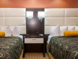 Best Western Plus JFK Inn & Suites hotel detail image 6