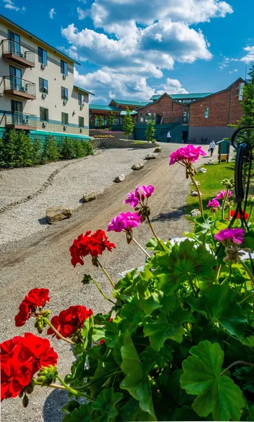 Grande Denali Lodge hotel detail image 6