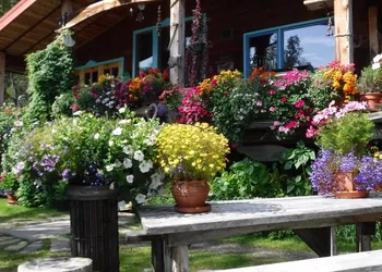 Brigitte's Bavarian B&B hotel thumbnail 4