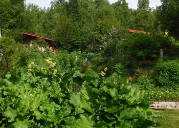 Brigitte's Bavarian B&B hotel thumbnail 5