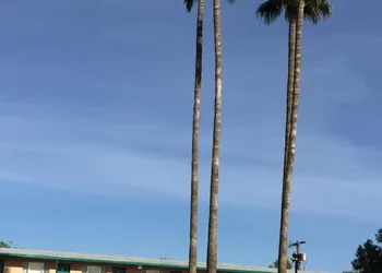 Amazon Motel hotel thumbnail 8