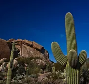 Boulders Resort & Spa Scottsdale, Curio Collection by Hilton hotel detail image 3