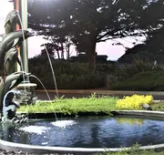 Emerald Dolphin Inn & Mini Golf hotel detail image 4