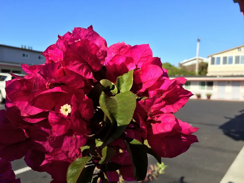 Sundown Inn hotel detail image 6