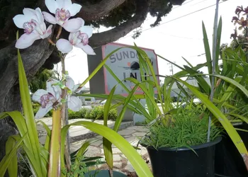 Sundown Inn hotel thumbnail 7