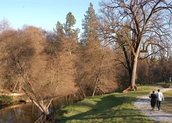 Queen's Inn By the River hotel thumbnail 5