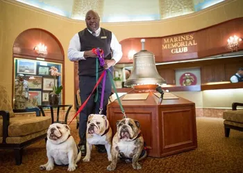 Marine's Memorial Club hotel thumbnail 3