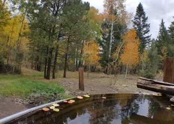 The Spruce Lodge hotel thumbnail 6