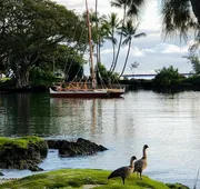 Hilo Reeds Bay Hotel hotel detail image 3