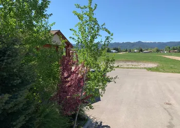 Teton Valley Motel hotel thumbnail 6