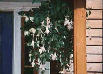 Chesapeake Inn of Lenox hotel thumbnail 3