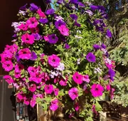 The Willard Munger Inn hotel detail image 5