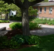 Ludington Blue Spruce Inn hotel detail image 5