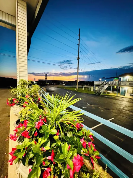 Ozark Inn & Suites hotel detail image 2