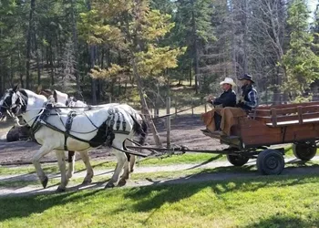 Lonesome Dove Guest Ranch hotel thumbnail 5