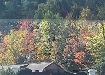 Jack O'Lantern Resort and Golf Course hotel thumbnail 3
