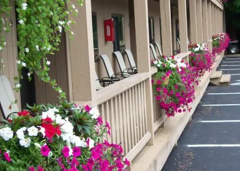 Tall Pines Motel hotel thumbnail 6