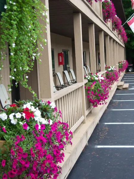 Tall Pines Motel hotel detail image 6