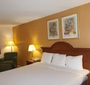 Royalton Inn and Suites Wilmington hotel detail image 3
