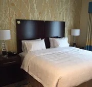 Hampton Inn & Suites Stroudsburg Pocono Mountains hotel detail image 7