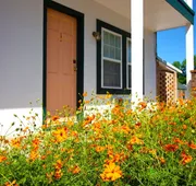 Peach Tree Inn & Suites hotel detail image 4