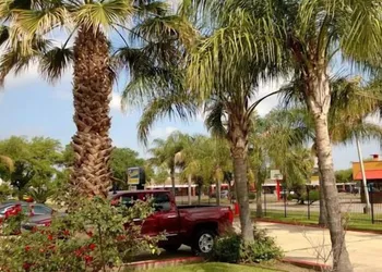 Scottish Inn & Suites - Hobby Airport hotel thumbnail 7