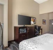 Best Western Plus Lake Jackson Inn & Suites hotel detail image 4
