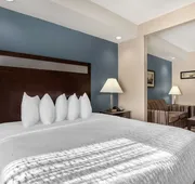 Best Western Plus Lake Jackson Inn & Suites hotel detail image 5